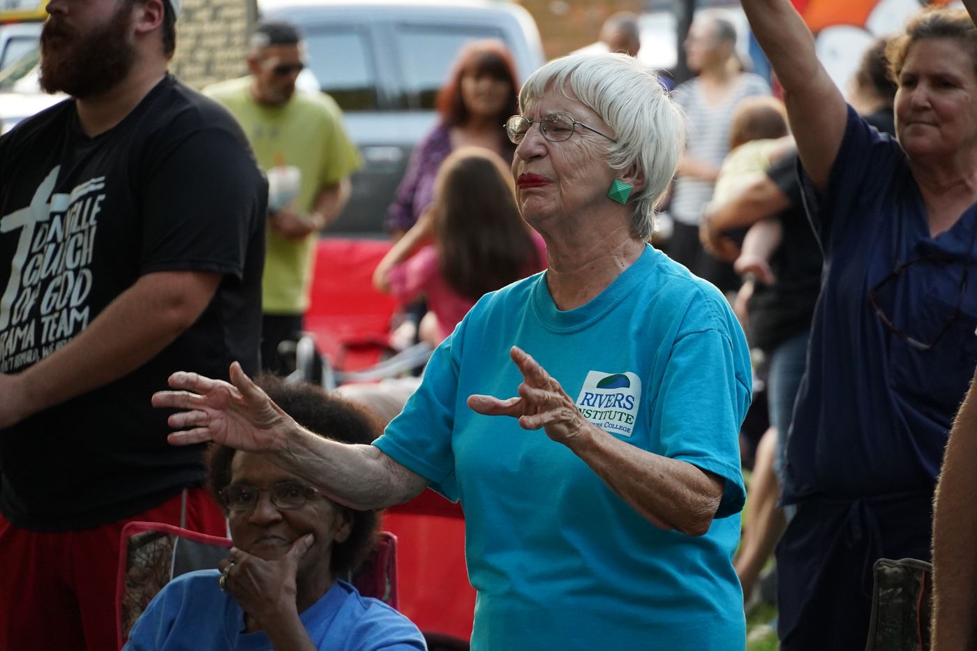 Danville festival — photo 4