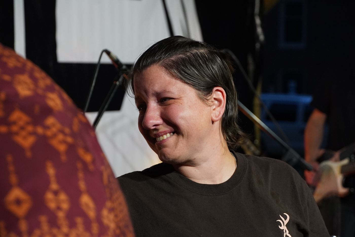 Danville festival — photo 13